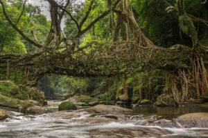 Mawlynnong Himalayan destination